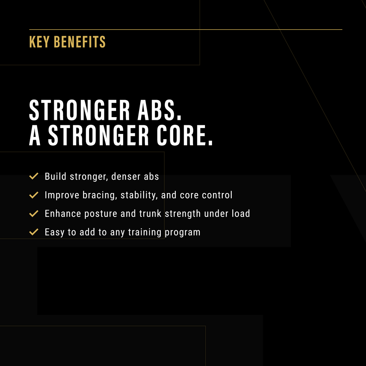 The Ultimate ABS add-on program